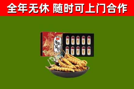 防城区回收冬虫夏草价格